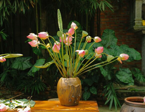 Hanoi Escapes